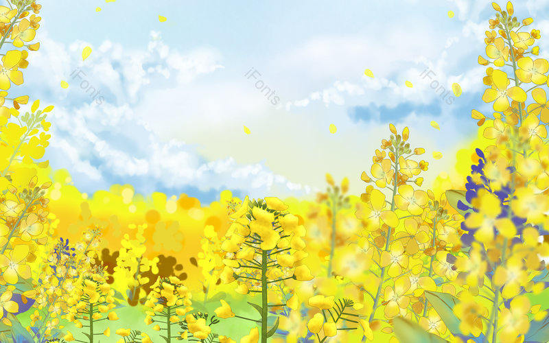 金色油菜花田野卡通装饰彩色春季背景,插画/手绘图,插画/手绘图库,插画/手绘图下载,插画/手绘